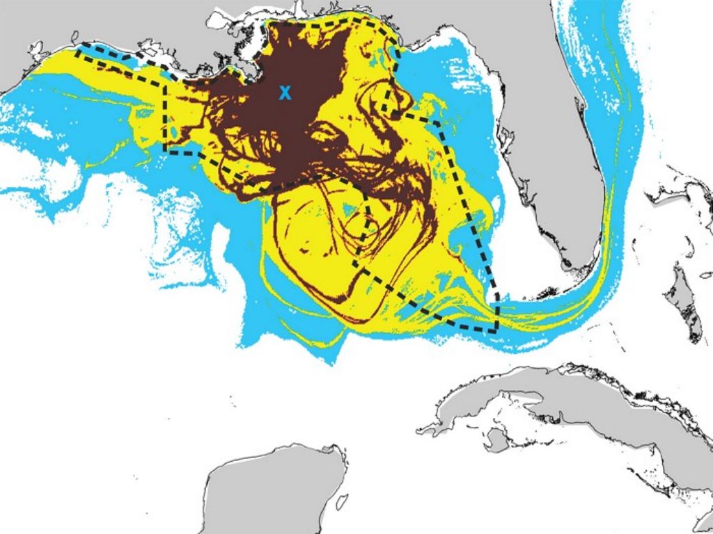 HMN - What did we learn from the Deepwater Horizon disaster?