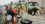 Action Cleanup Environmental Services