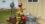 Q&A: New Fire Suppression Tech Company Hits Market